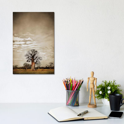 Baobab Hierarchy V by Klaus Tiedge - Wrapped Canvas Print