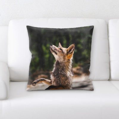 Coussin de fox
