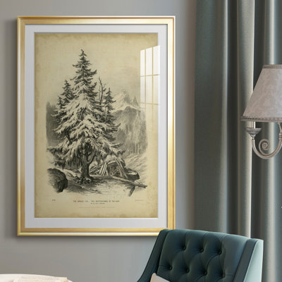 " The Spruce "