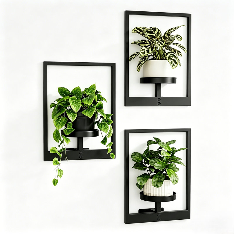 Ensemble de 3 supports à fleurs en fer forgé fixés au mur pour plantes d'intérieur et d'extérieur