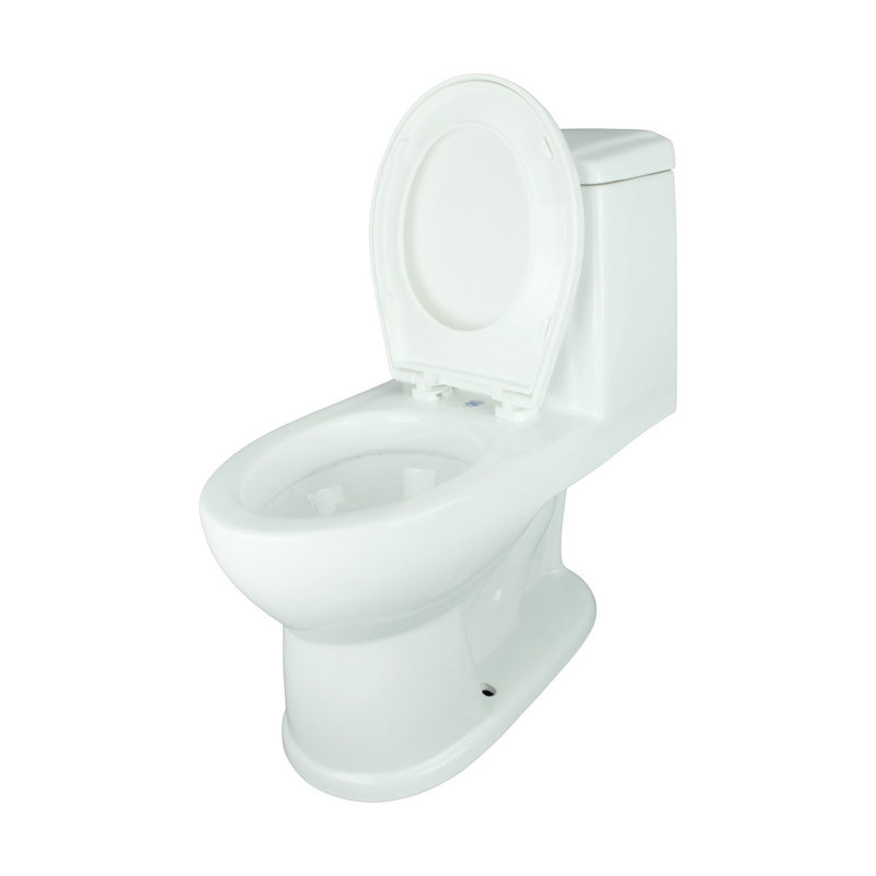 White Child Potty Training Toilet with Push Button Flush