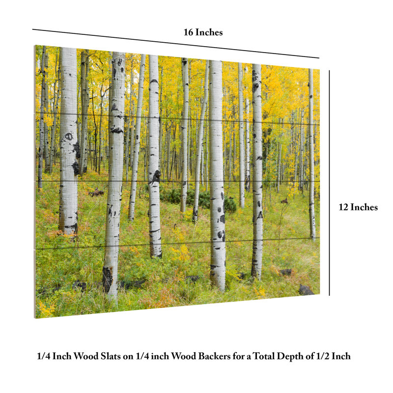 Stefan Hefele  Yellow Birchs Wood Slat Art, H 12 po x l 16 po