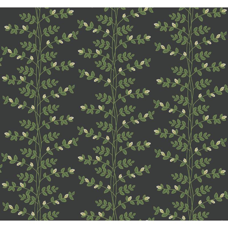 Papier peint Climbing Vine, Noir