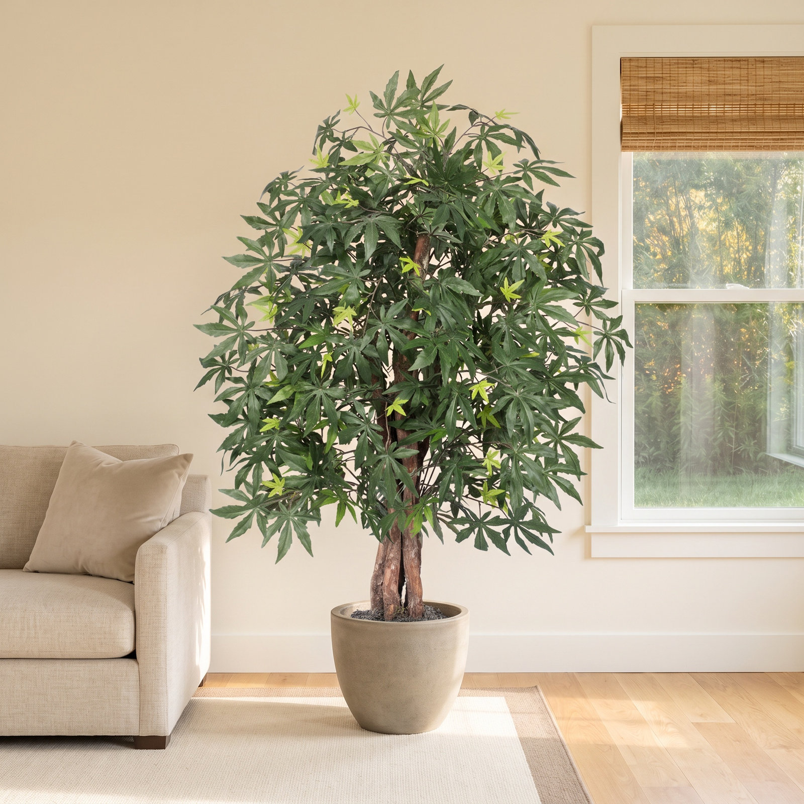48" Maple Tree in Pot