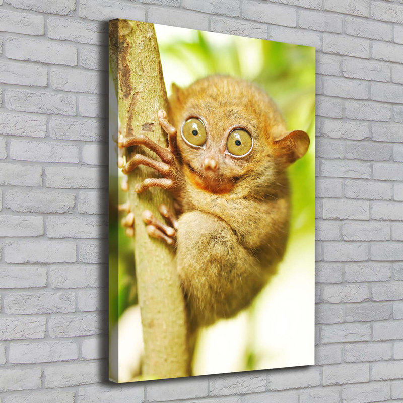 Spooky - Wrapped Canvas Print
