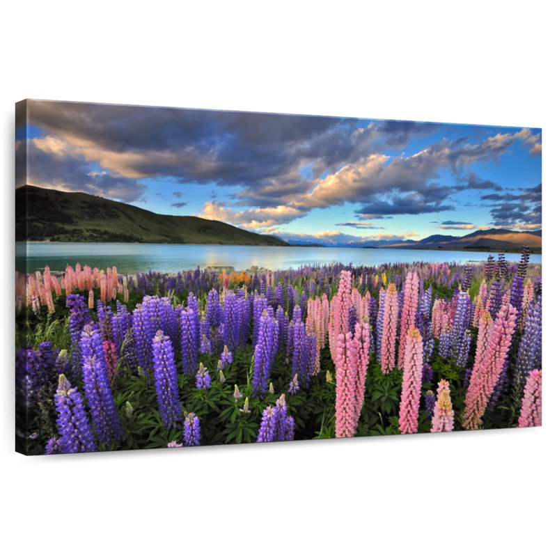 Alvord Lupines On Tekapo Lake, 16" H x 24" W