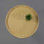 Table d'appoint ronde en bois et rotin, table pliable avec trépied en métal, plateau rond en rotin, style bohème, table basse chic, table d'appoint (hauteur 17,7 po, motif quadrillé)