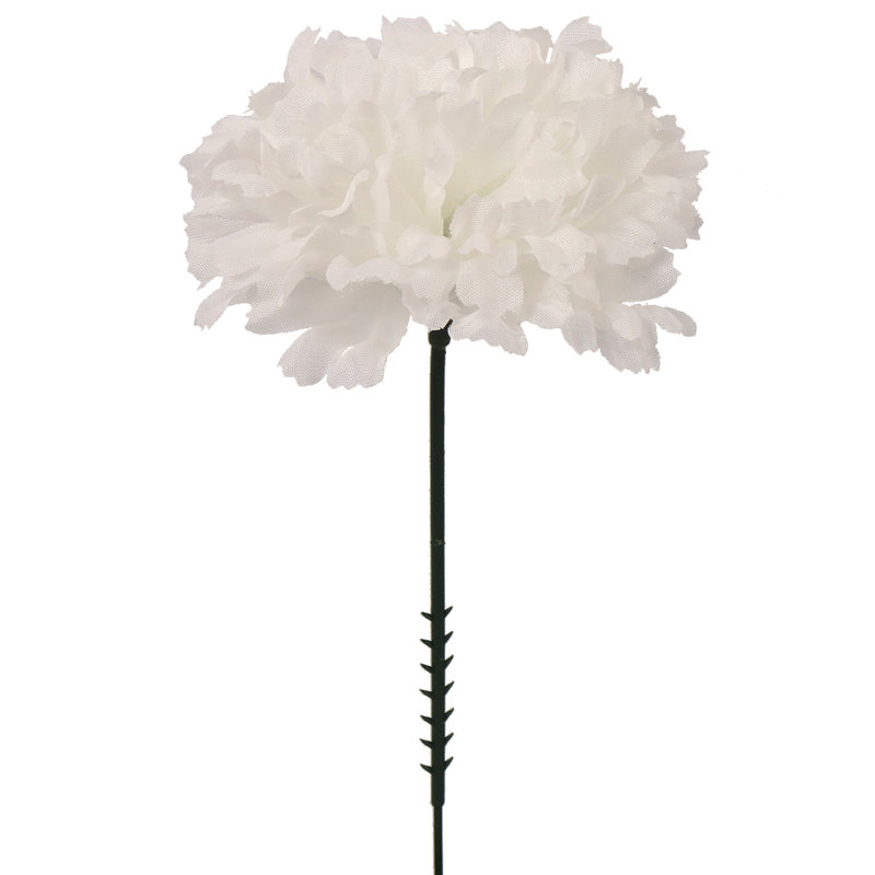 Tige d'œillet, Blanc bougie