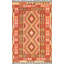 Nedjalko Southwestern Area Rug in Multi Red