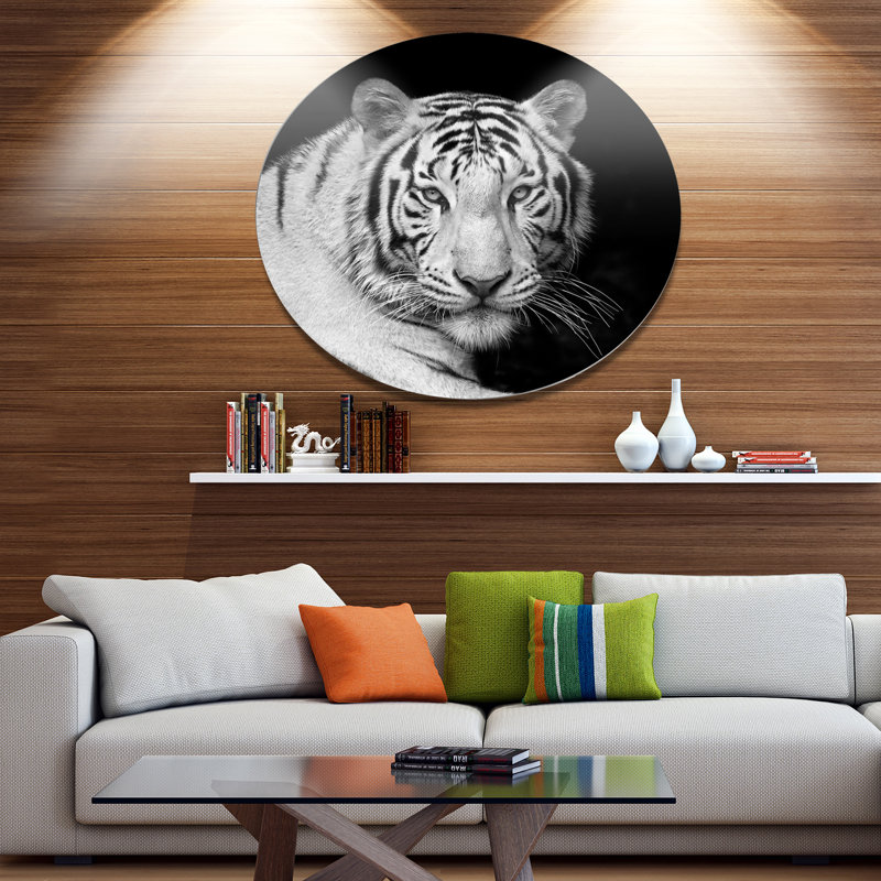 «Staring Bengal White Tiger», reproduction d'impression sur métal, H 23 po x l 23 po x P 1 po