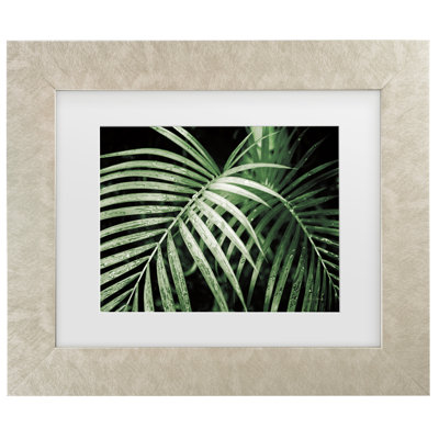Palmier vert par Debra Van Swearingen