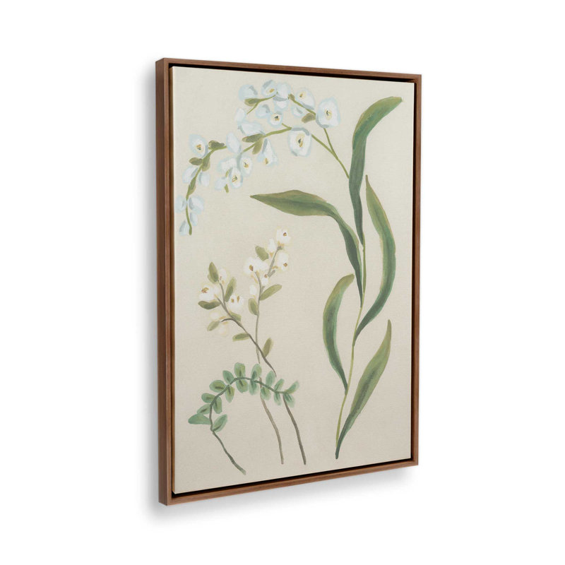 «Snowdrop Stems II» par June Erica Vess, reproduction d'art, H 24 po x l 18 po, Brun