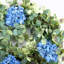 Couronne de fleurs 24 po Eucalyptus 24 po