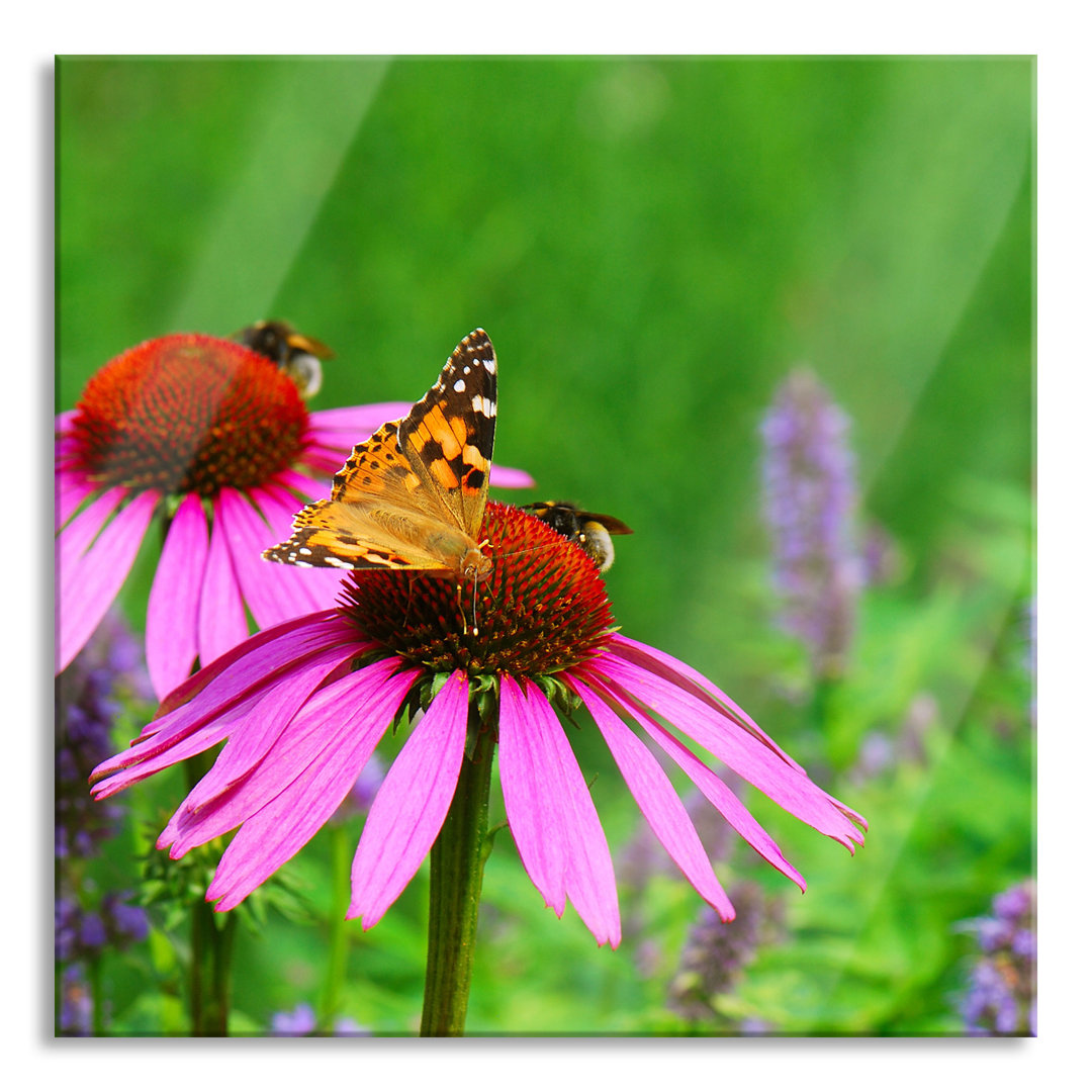 Glasbild Schmetterling auf Blüte