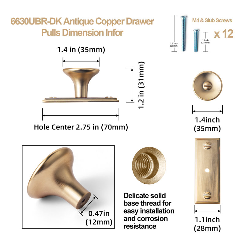 1.4'' Diameter Knob With Backboard Multipack, Champagne Bronze