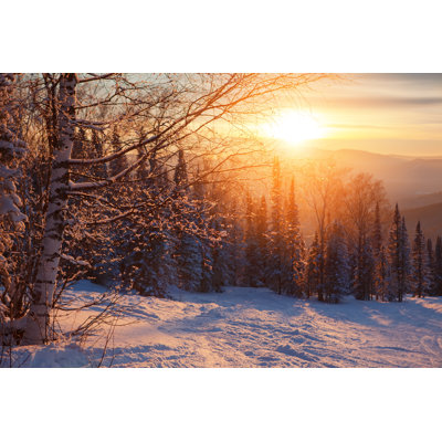 Winter Forest Sunset - Wrapped Canvas Print