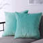 Housse de coussin en velours uni-352096244-352241807