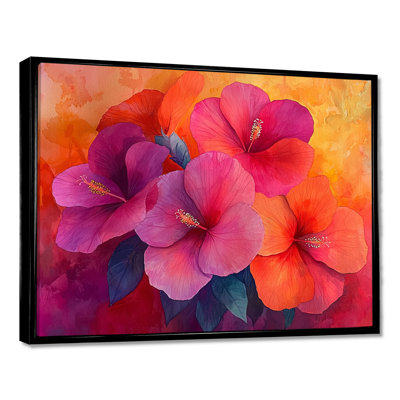 Hibiscus Vivid Hues
