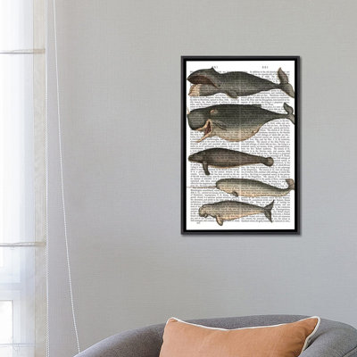 " Five Vintage Whales " by Fab Funky