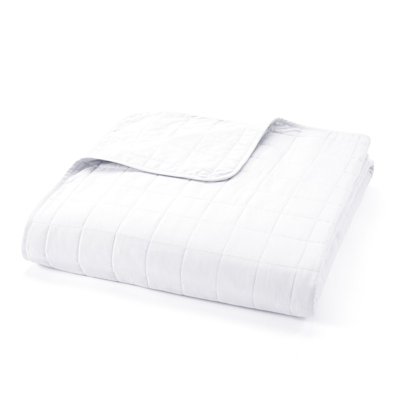 White Twin Microfiber Quilt Set with Pillow Sham