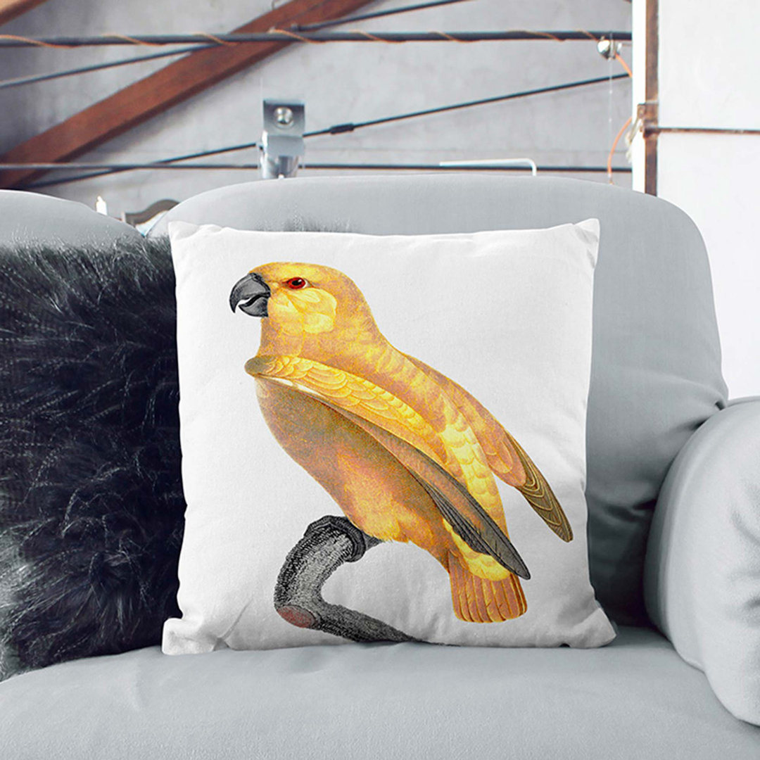 Senegal Parrot by F. Levaillant Cushion with Filling