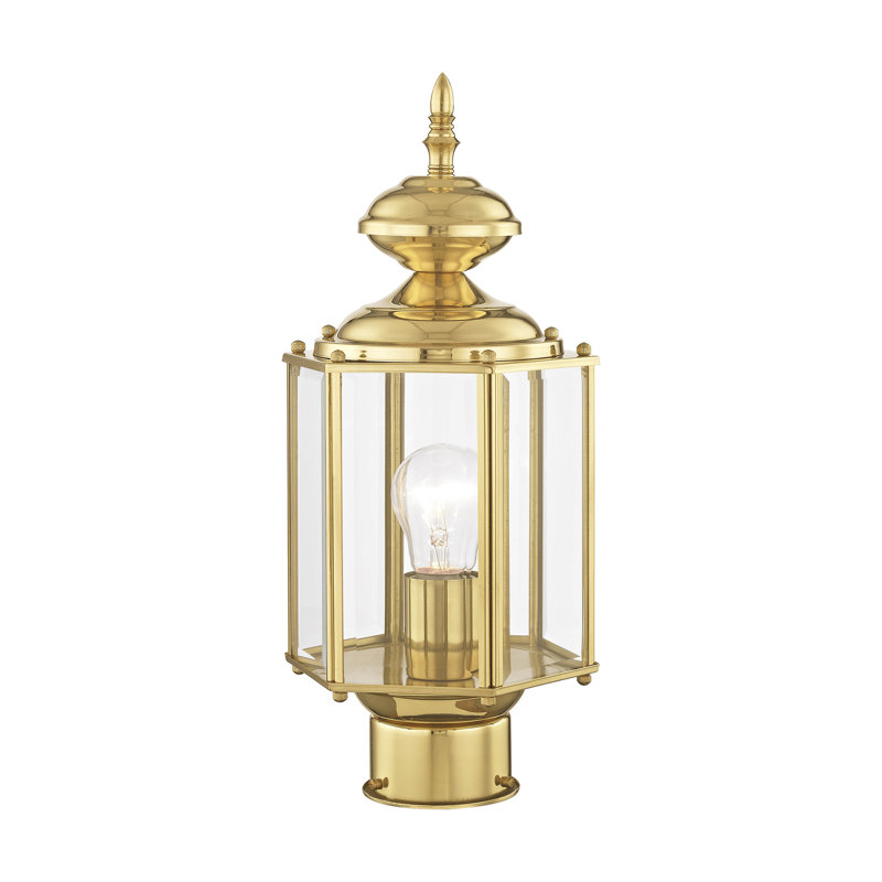 Tête de lanterne câblée à 1 lumière de 14,5 po en laiton poli Amberdawn