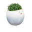Jardinière en céramique Blue Chubby Bird