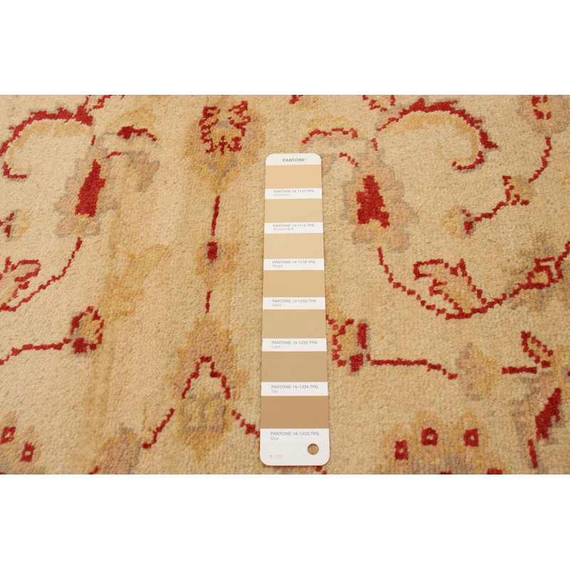 Tapis unique en laine noué à la main 4 pi x 6 pi 1 po nouvel âge Oxbrooke