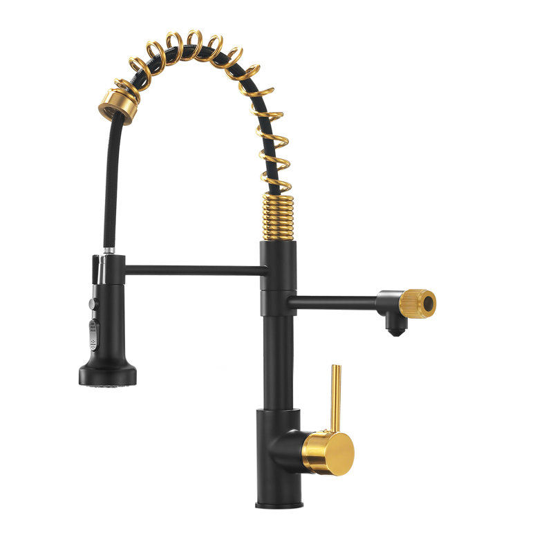 Robinet de cuisine noir et or - robinet d'eau potable avec évier d'aspect élégant