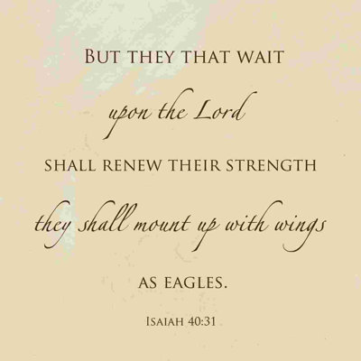 " Wings Of Eagles "