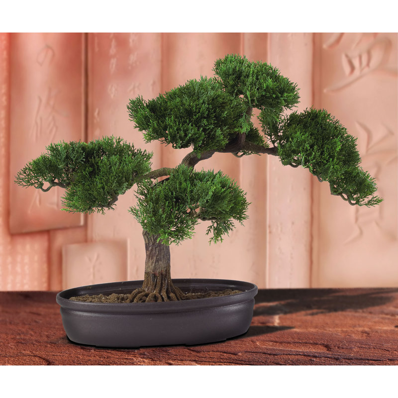 Cèdre artificiel en pot, H 16 po x l 16,5 po x P 12 po