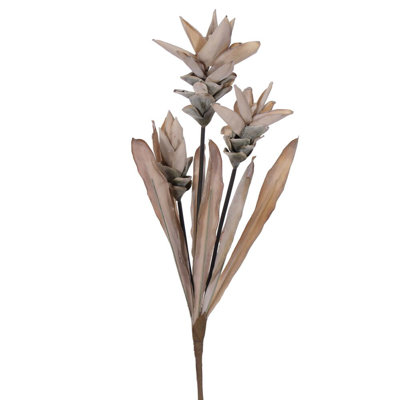 Stem