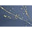 60'' LED Lighted Trees & Branches-25670261