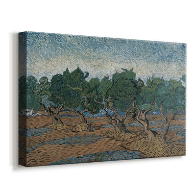 Olive Trees-Vincent van Gogh-Gallery Wrapped Canvas-1889