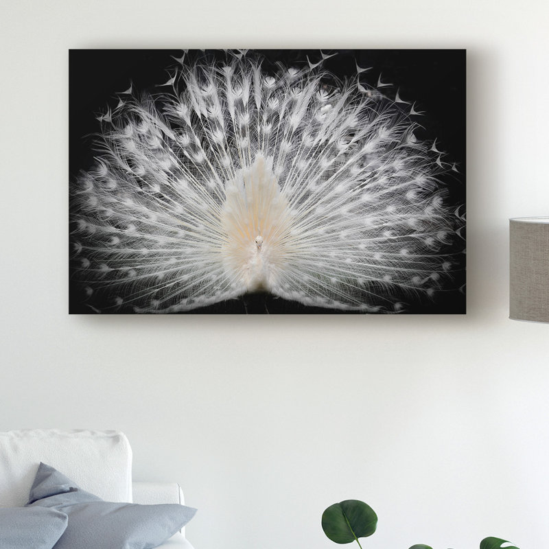 « white peacock portrait », reproduction de photo sur toile tendue, H 30 po x l 47 po x P 2 po