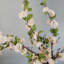 Artificial Cherry Blossom Faux Floral-526748644