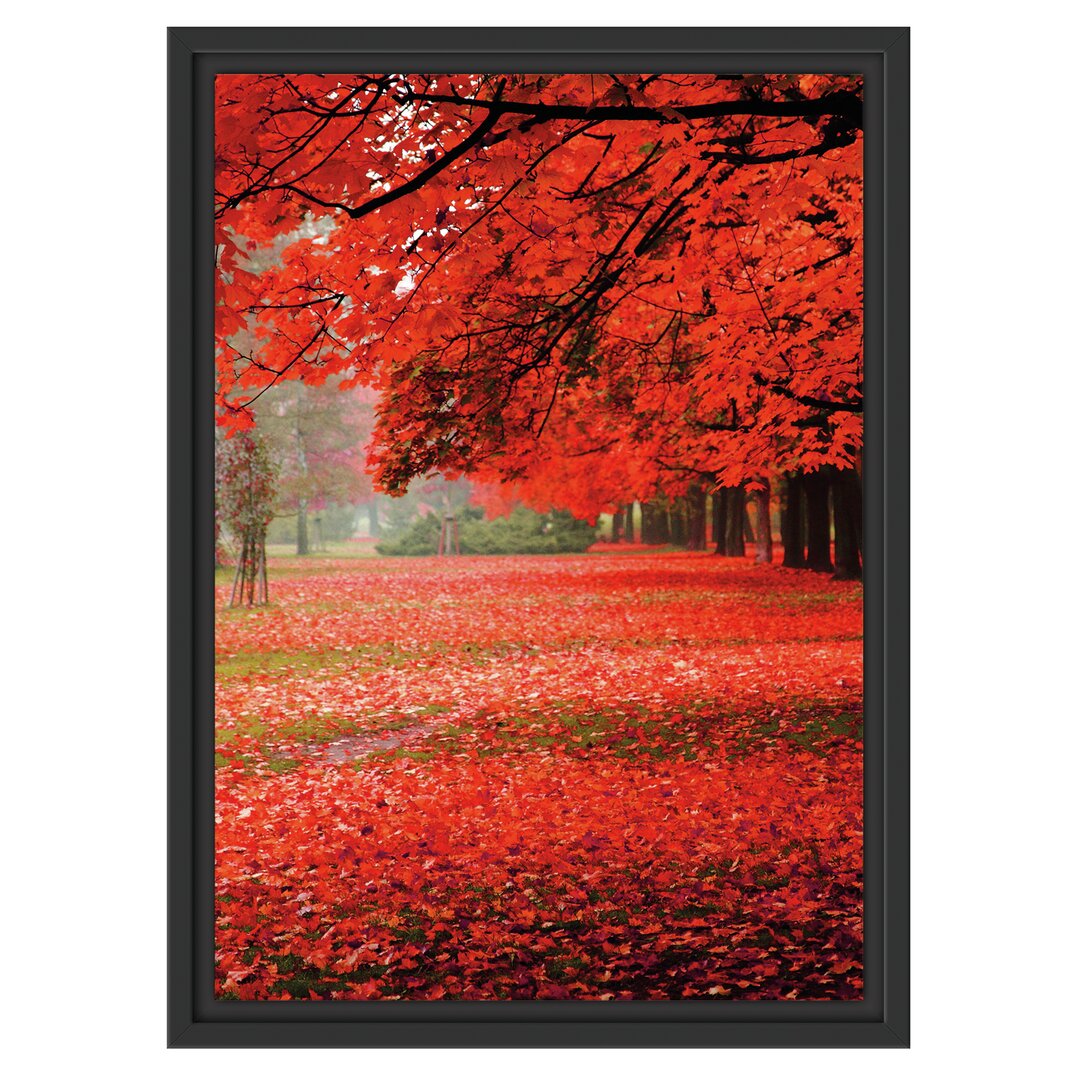 Gerahmtes Wandbild Rot gefärbter ParkHerbst