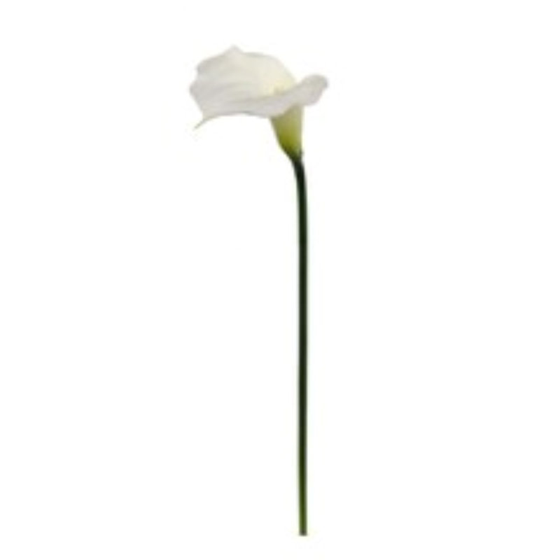 Tige de lis de Calla 21 po 21 po - paquet de 12