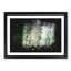 Bird Flying By The Waterfall Paint Splash - Framed Print-56890868-56890863