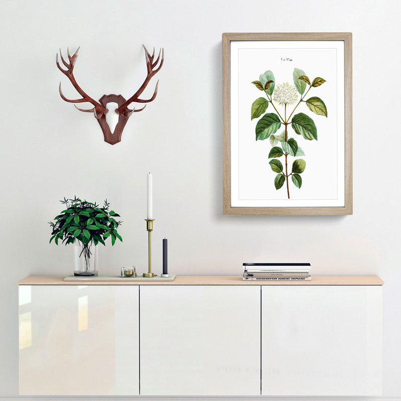 Dogwood Flowers by Pierre-Joseph Redoute - Picture Frame Painting Print, 48cm H x 36cm W x 2cm D, Oak Framed