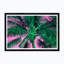 Tropical Palm In Pink & Green Print by Tim Klein
