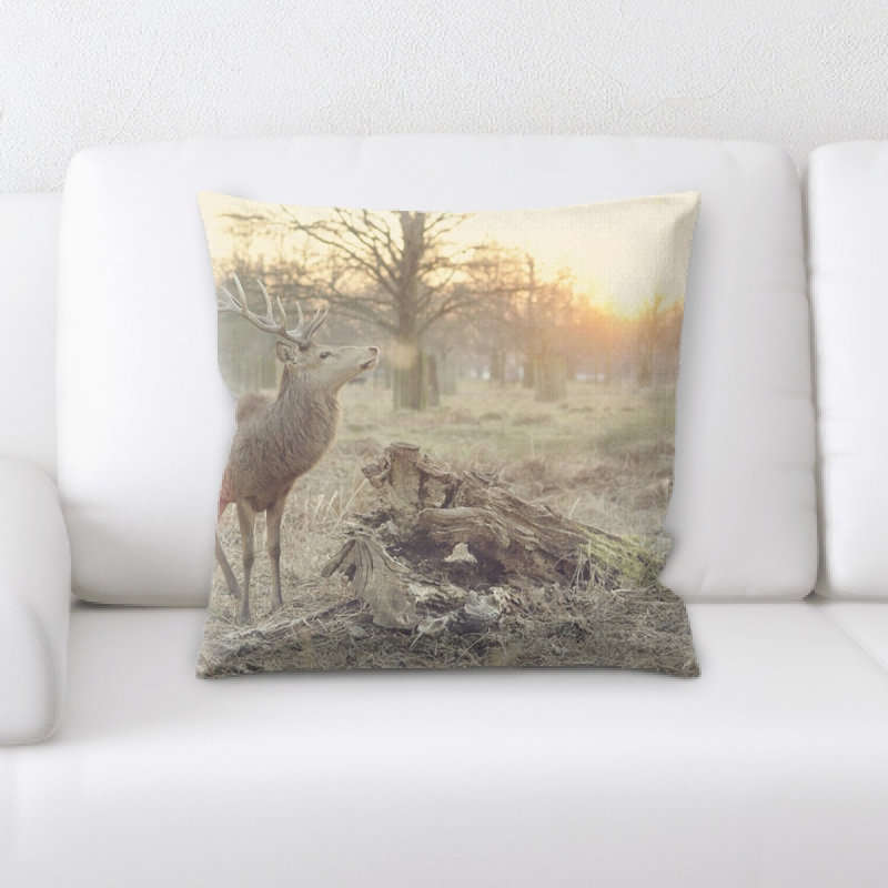 Coussin décoratif staging