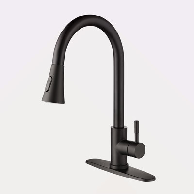 Kitchen Faucet With Pull Out Spraye