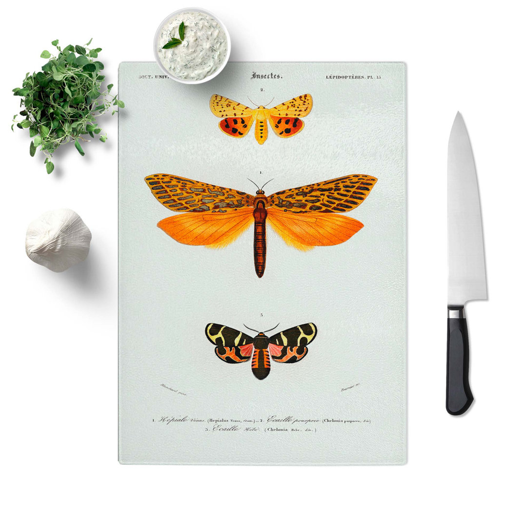 Glass Moth Illustrations Pl.5 by Charles D' Orbigny Chopping Board