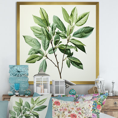 Menthe fraîche, minimalisme, feuilles, sérénité I