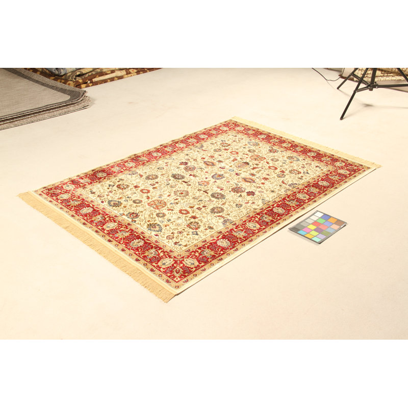 Bianca Oriental Area Rug, Rectangle 160 x 230cm