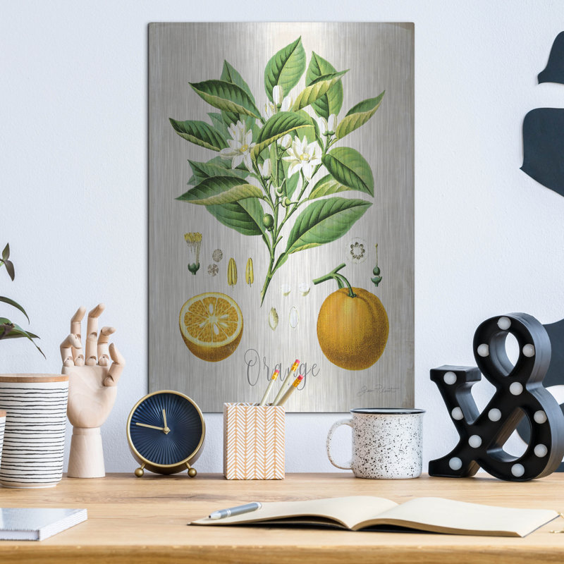 «Vintage Citrus Fruit Study B» par Jean Plout, art mural en métal, H 16 po x l 12 po