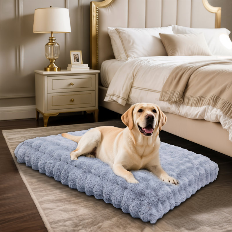 Dog Bed, 12cm H x 105cm W x 70cm D, Grey