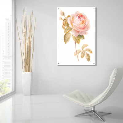  «Garden Rose On White» par Danhui Nai, art mural en verre acrylique, 12 po x 16 po