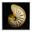 «Giclee Art» par Caroline Kelly-889159627-889159620
